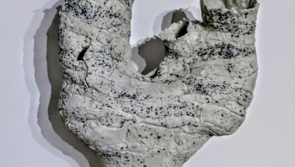 &copy; Ramona Ponomarew-John