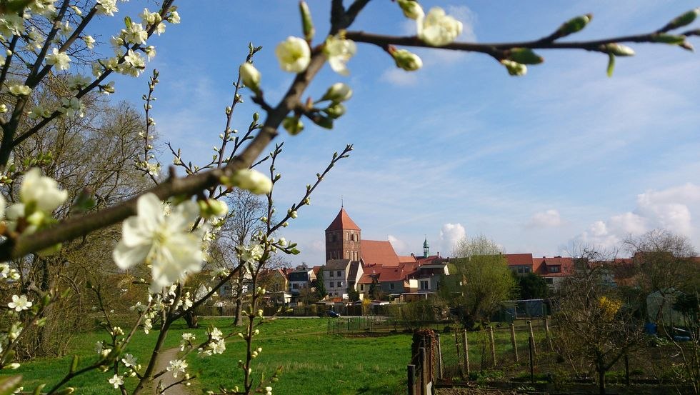 Blick auf die Stadtkirche St. Peter und Paul, © Jana Koch Blick auf die Stadtkirche St. Peter und Paul, © Jana Koch