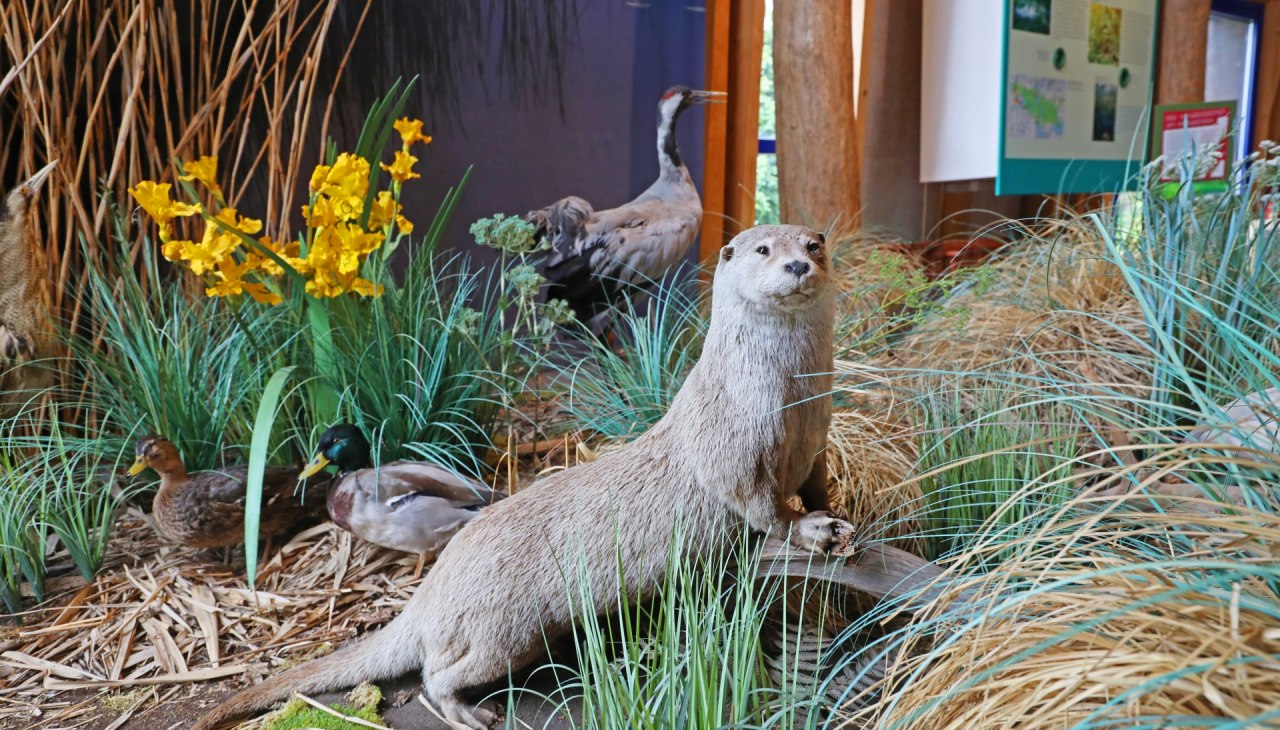 Infozentrum Karower Meiler - Ausstellung, &copy; TMV/Gohlke