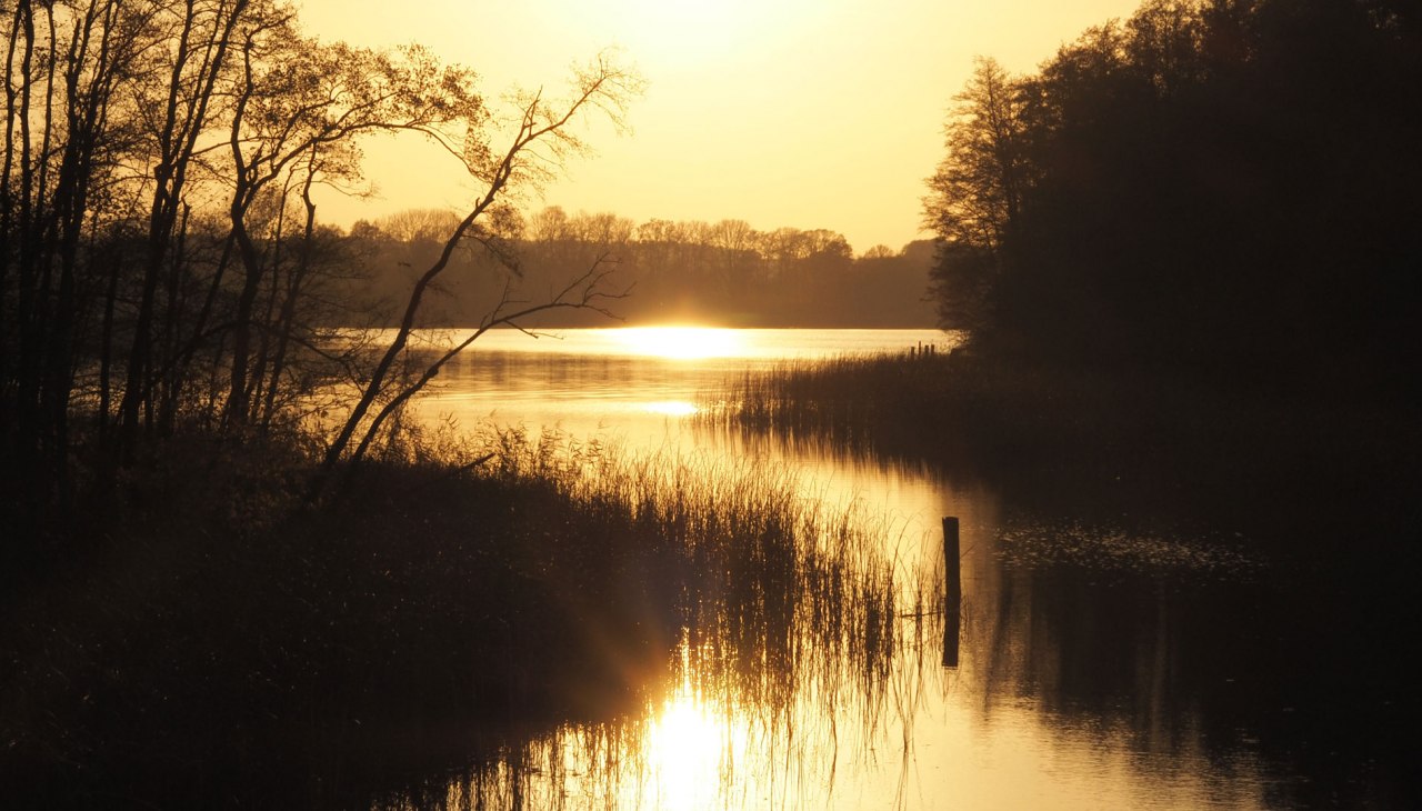 Badestelle am Vilzsee, © Verein für innovative Jugendbildung e.V. Badestelle am Vilzsee, © Verein für innovative Jugendbildung e.V.