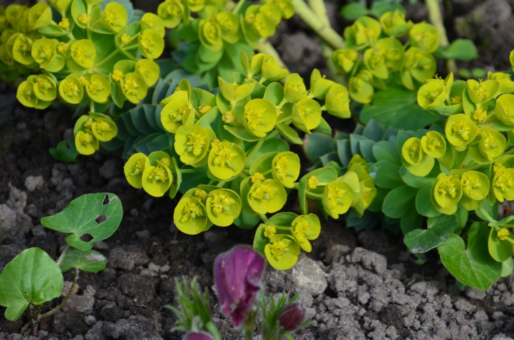 Natur entdecken, © Tourismusverband Vorpommern e.V. Natur entdecken, © Tourismusverband Vorpommern e.V.
