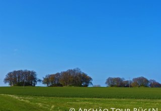 Blick auf die Hügelgräber "Woorker Berge" // © Archäo Tour Rügen Blick auf die Hügelgräber "Woorker Berge" // © Archäo Tour Rügen