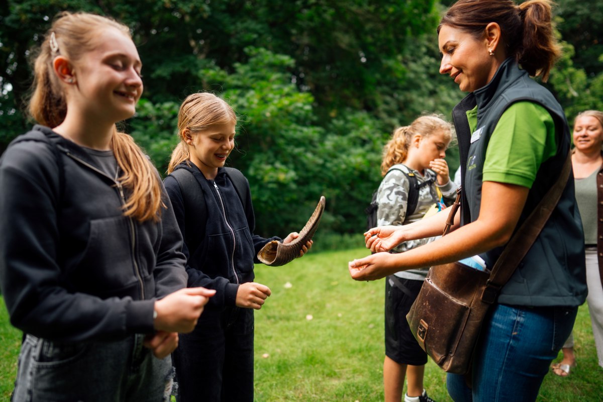 &copy; Nationalpark-Zentrum K&Ouml;NIGSSTUHL / Dan Petermann