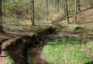 Klaasbachtal                           &copy;Naturpark Sternberger Seenland // &copy; Naturpark Sternberger Seenland