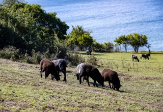 &copy; Kurverwaltung Goehren / Martin Stoever