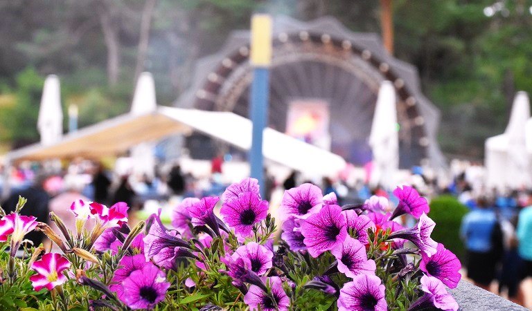 &copy; Pfingstfest2.JPG