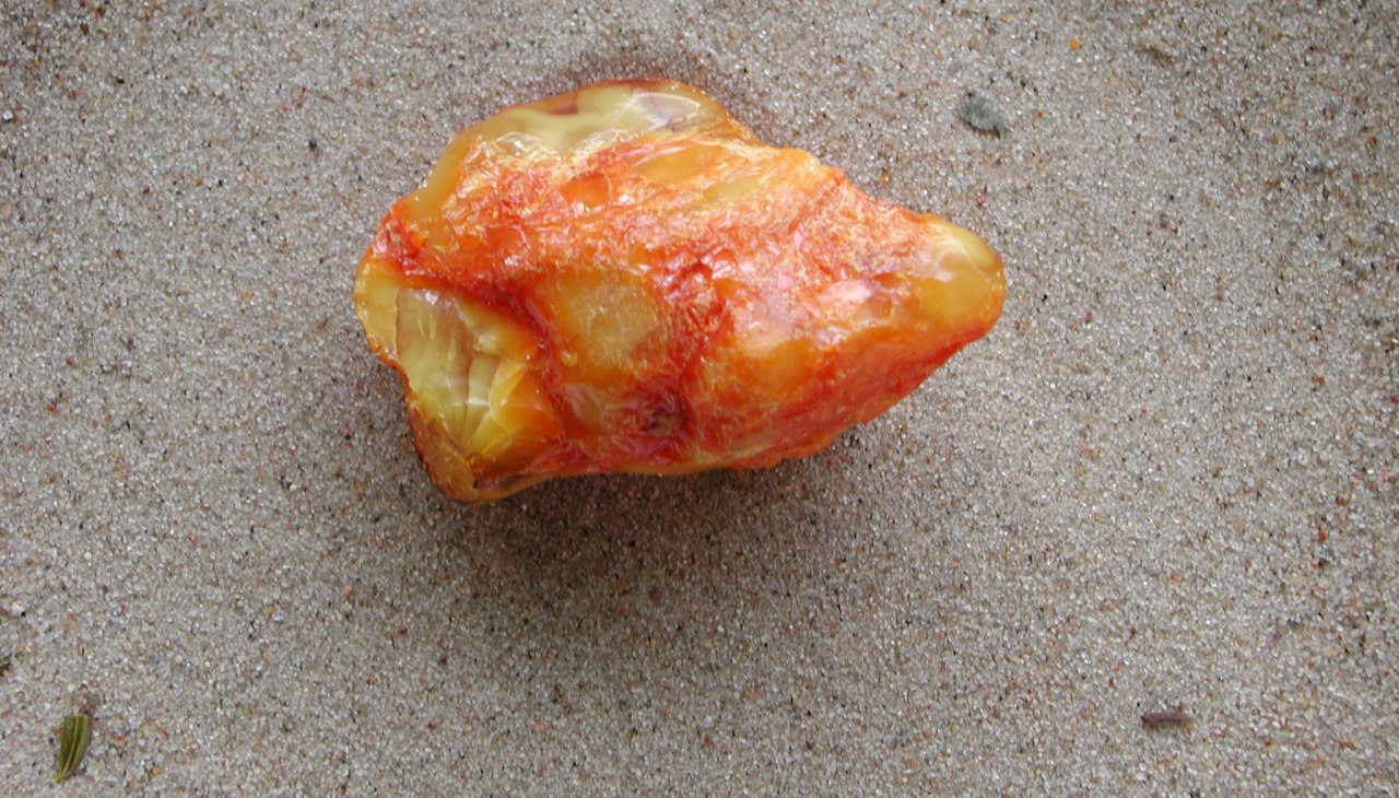 Bernsteinschleifen mit dem Bernsteinexperten Thomas Reich, © dscn8767