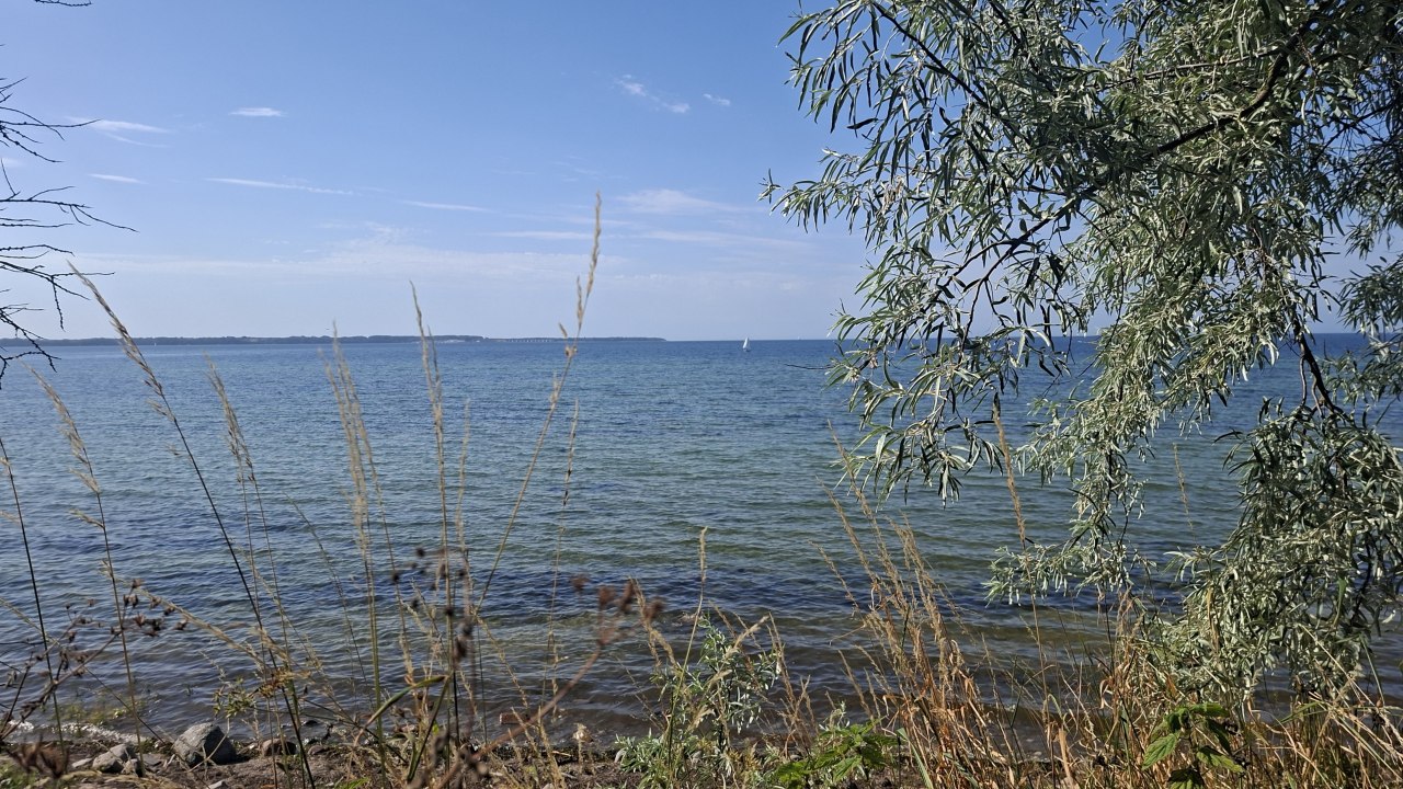 Uitzicht vanuit het kustbos op de Oostzee, Wohlenberger Wiek // &copy; Christine D&ouml;rband / Langdock