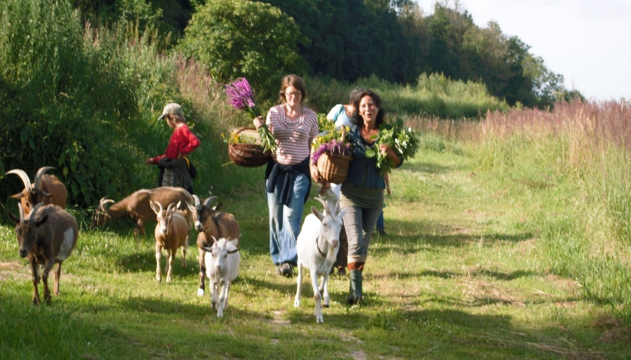 Kruidenwandeling met geiten, © Kräuterhof Carlsthal Kruidenwandeling met geiten, © Kräuterhof Carlsthal