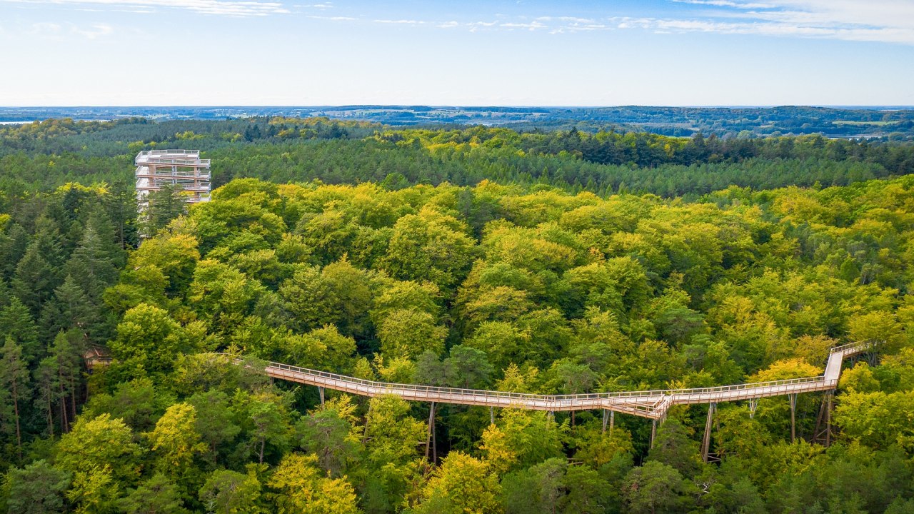 Der Baumwipfelpfad besteht aus einem hölzernen Steg, der sich durch die Baumkronen windet, und einem 33 Meter hohen Aussichtsturm. // © Erlebnis Akademie AG/Baumwipfelpfad Usedom Der Baumwipfelpfad besteht aus einem hölzernen Steg, der sich durch die Baumkronen windet, und einem 33 Meter hohen Aussichtsturm. // © Erlebnis Akademie AG/Baumwipfelpfad Usedom