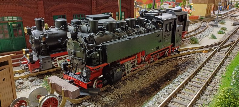 Gartenbahn LGB, &copy; Modellbahnclub Sassnitz