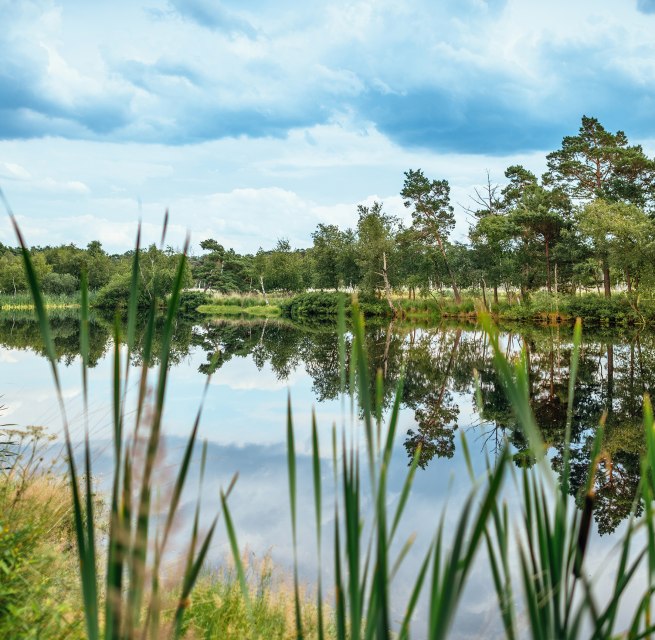 &copy; Moorwanderung_kl.jpg