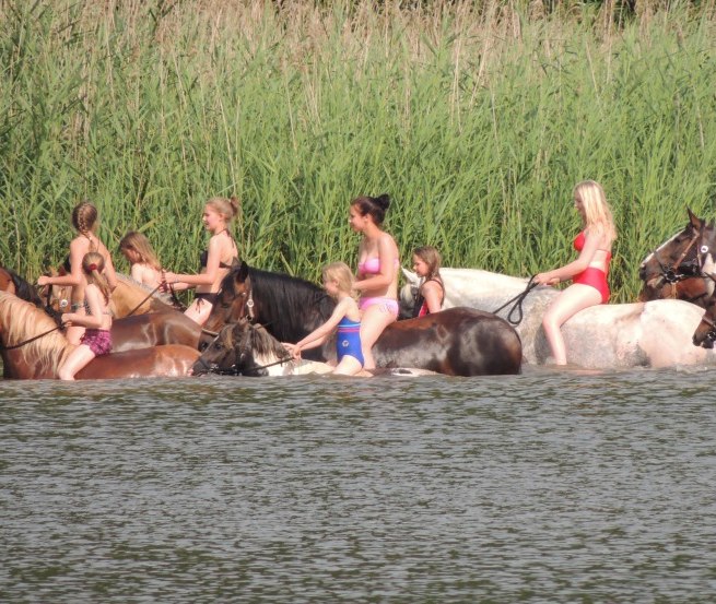 In der Region Goldberg-Mildenitz mit Pferden ins Wasser reiten // © Tourismusverein Waelder, Seen und Mehr e.V. In der Region Goldberg-Mildenitz mit Pferden ins Wasser reiten // © Tourismusverein Waelder, Seen und Mehr e.V.
