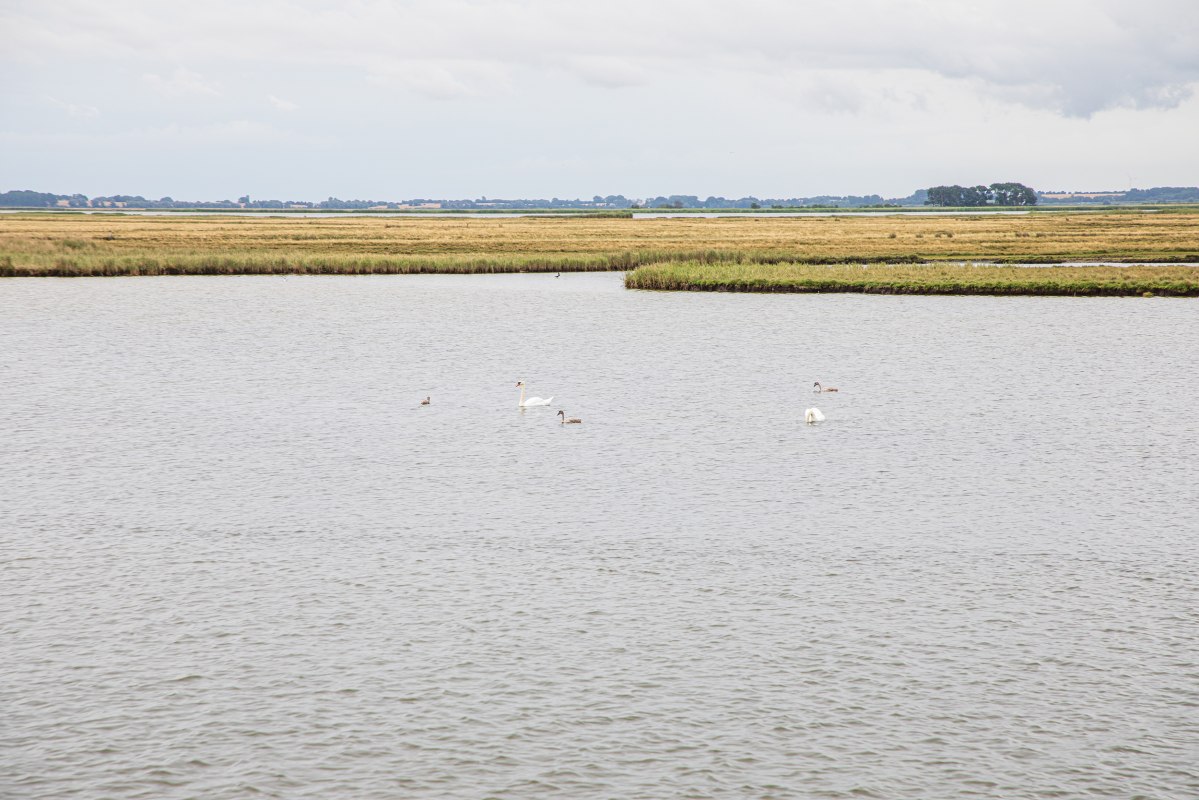 &copy; Wei&szlig;e Flotte GmbH