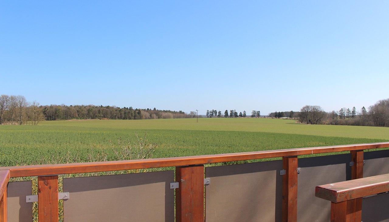 Uitzicht vanaf het perron richting Adlerhorst, © Kur- und Tourismus GmbH Göhren-Lebbin Uitzicht vanaf het perron richting Adlerhorst, © Kur- und Tourismus GmbH Göhren-Lebbin