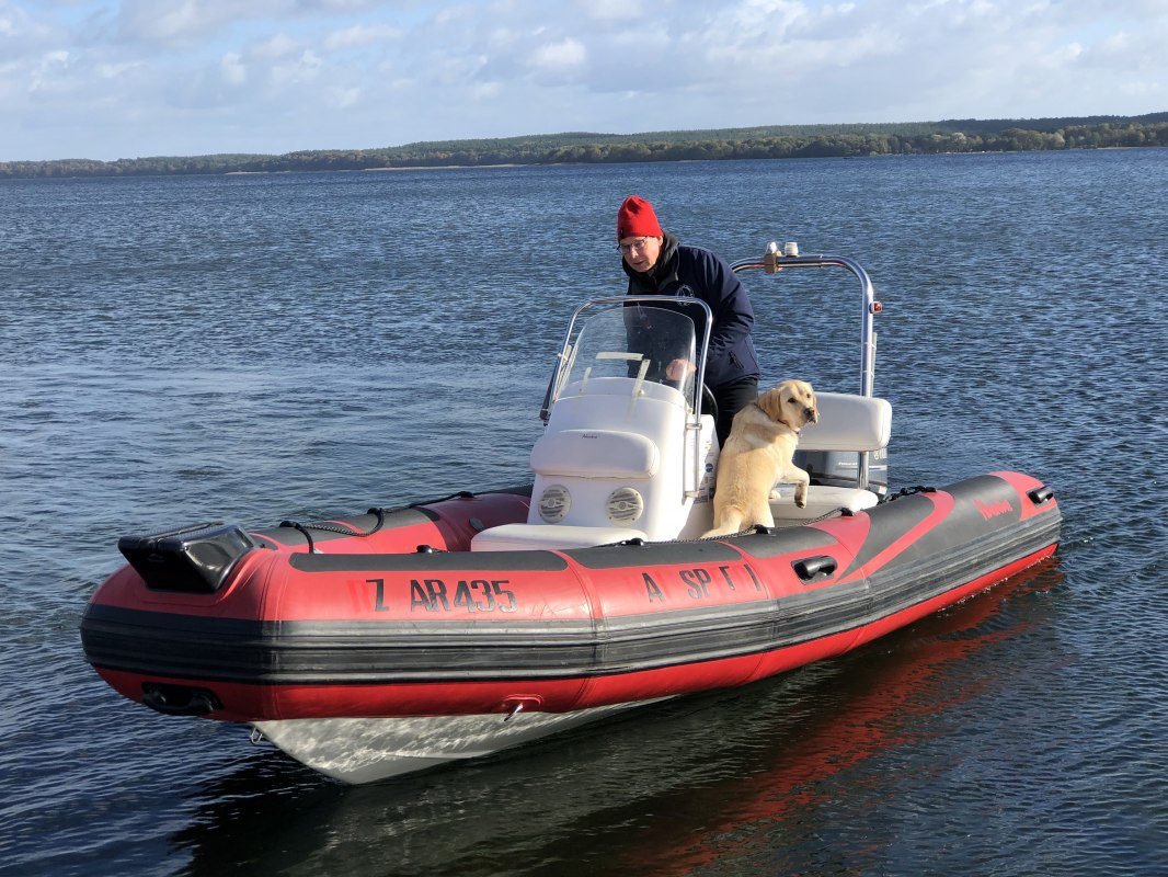 &copy; Plauer Hai-Live e. V.