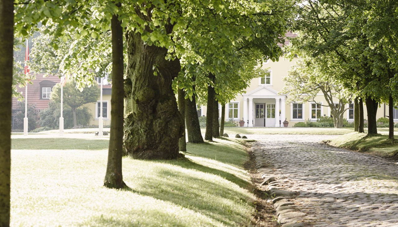 Willkommen - Auffahrt und Allee zum Gutshaus Stolpe, &copy; Gutshaus Stolpe