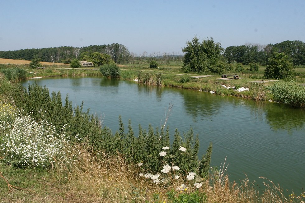 Uitzicht op de vijver, © Sabrina Wettkopf-Schade Uitzicht op de vijver, © Sabrina Wettkopf-Schade