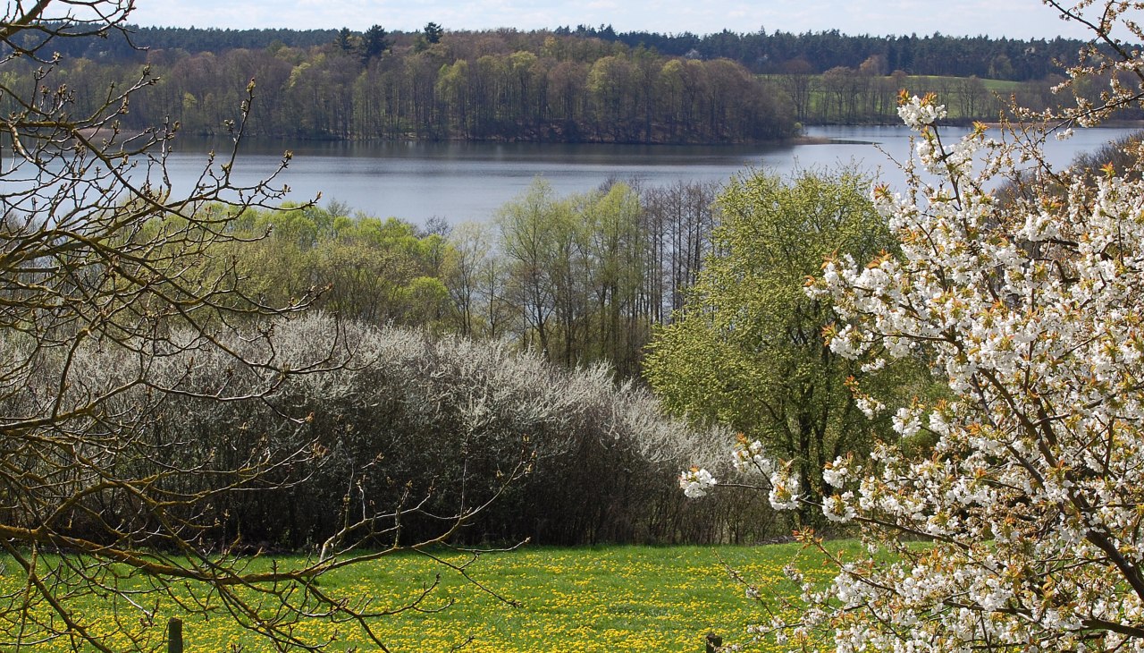 Schaalsee bei Lassahn, &copy; S.Hoffmeister