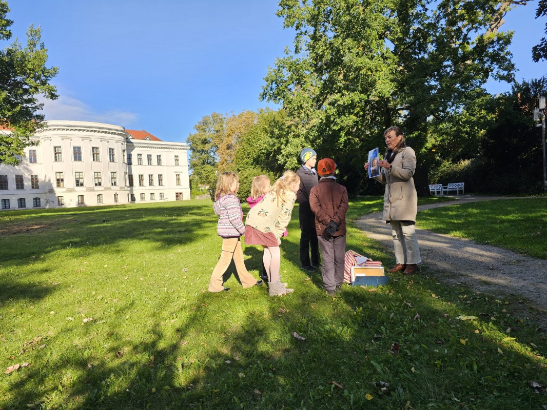 &copy; TI Bad Doberan