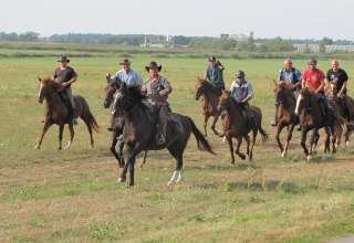 Unsere Ausritte führen vorbei an der Steilküste, durch die Wiesen und in der Nebensaison auch an den Strand., © Juliana Völkner Unsere Ausritte führen vorbei an der Steilküste, durch die Wiesen und in der Nebensaison auch an den Strand., © Juliana Völkner