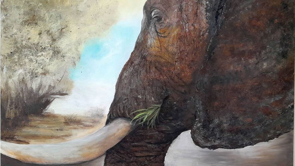 &copy; Annett Neumann