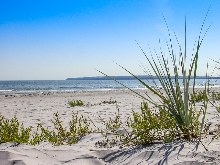 Strand, © Freizeitcamp Am Wasser Strand, © Freizeitcamp Am Wasser