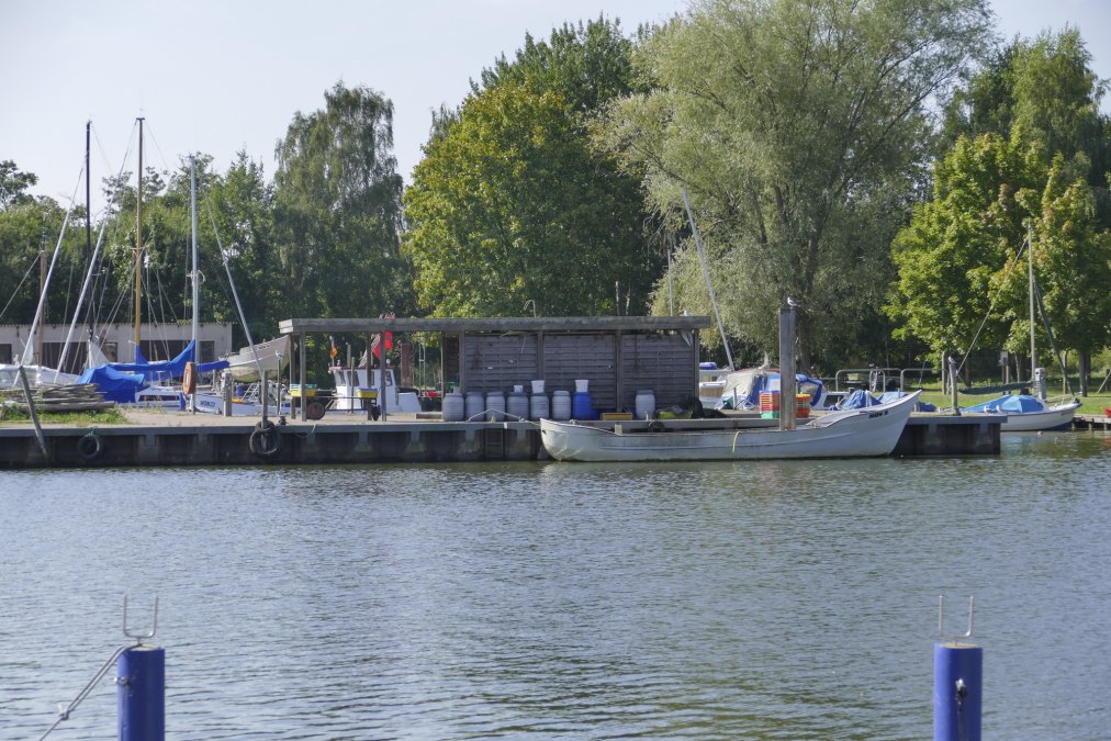 Der Fischereihafen liegt ebenfalls im Hafenbecken des Yachthafens gleich gegenüber, © TMV/cross media redaktion