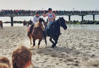 &copy; Kevin Schiemann / KVW Wustrow