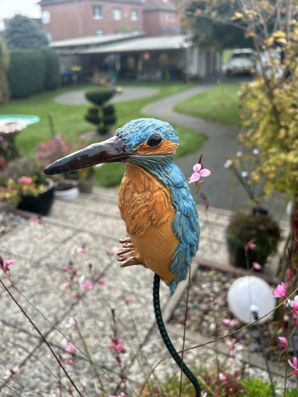 &copy; Sabine Gogolin