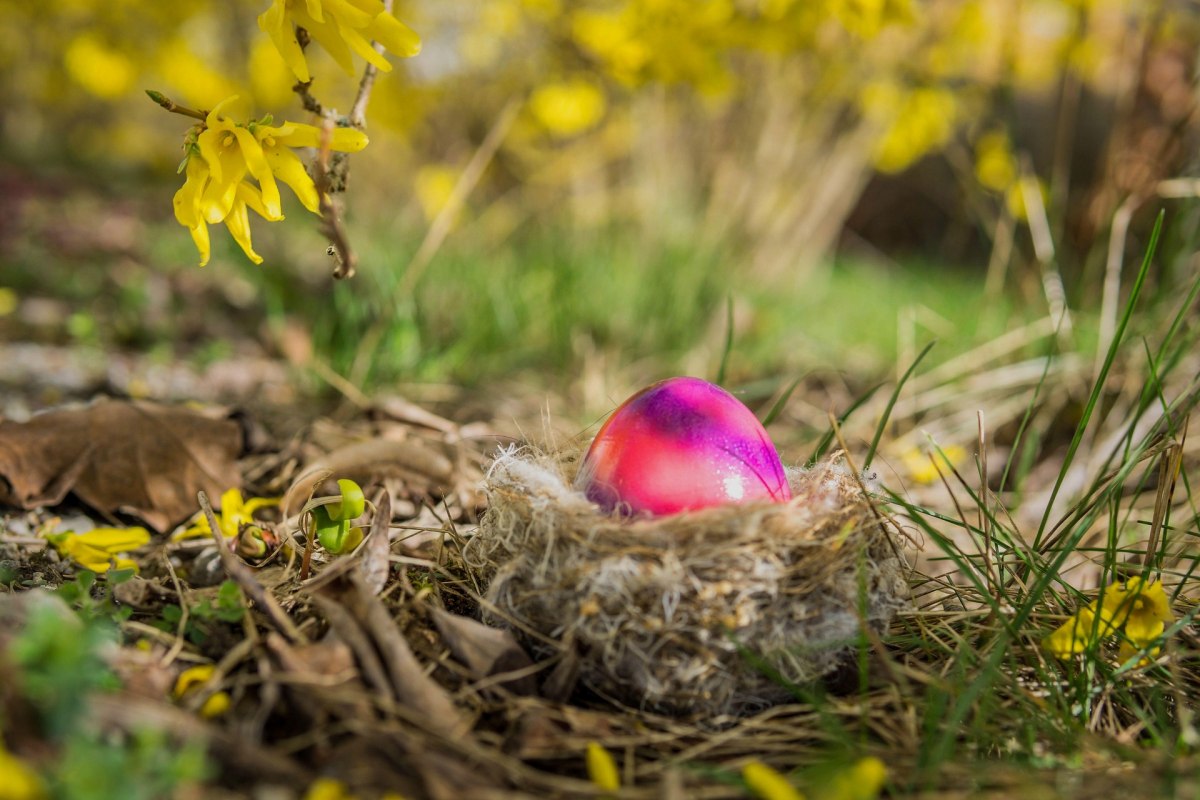 &copy; easter-egg-7894939_1920 (1).jpg