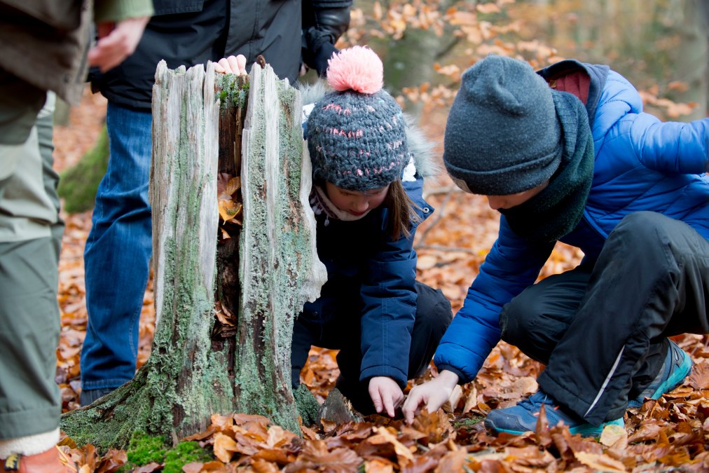 20231122_Familienfuehrung_MTimm_15, © Mareike Timm 20231122_Familienfuehrung_MTimm_15, © Mareike Timm