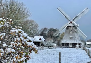 © Kurverwaltung Ahrenshoop