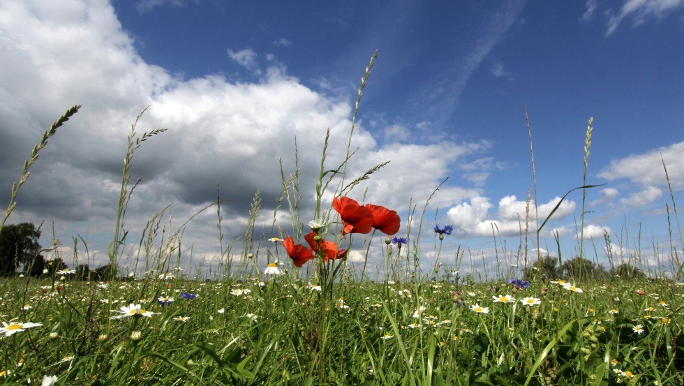 Das Gut Gallin ist malerisch eingebettet in das UNESCO-Biosphärenreservat Schaalsee, © Gut Gallin / Rasim Das Gut Gallin ist malerisch eingebettet in das UNESCO-Biosphärenreservat Schaalsee, © Gut Gallin / Rasim