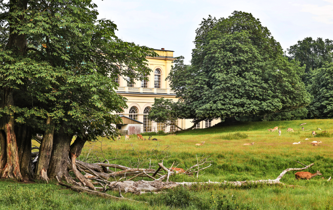 schlosspark-zu-putbus_1, © TMV/Gohlke schlosspark-zu-putbus_1, © TMV/Gohlke