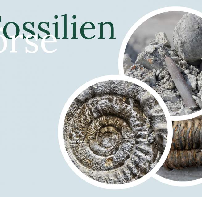 &copy; Kurverwaltung Rerik