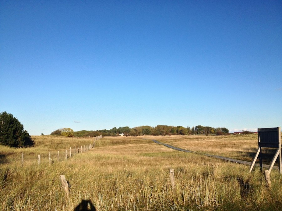 Naturschutzgebiet Nordwestufer Wittow und Kreptitzer Heide, &copy; Tourismuszentrale R&uuml;gen