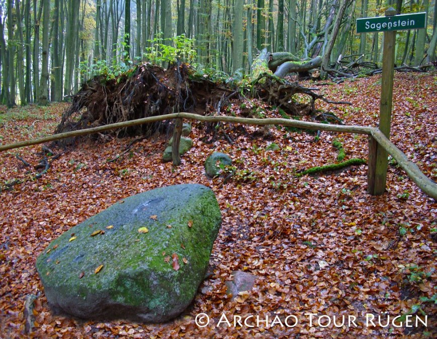 versteckt in Laubwald liegt der sagenumwobene Stein, © Archäo Tour Rügen