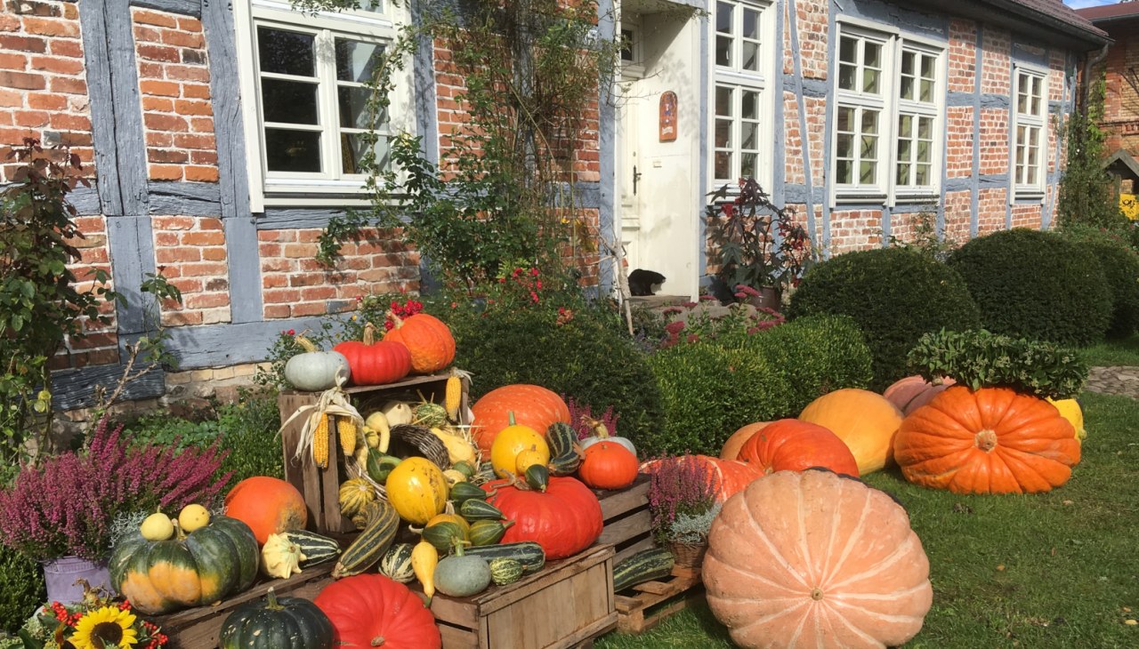 Gutshof Alt-Guthendorf K&uuml;rbisfest, &copy; Gutshof Alt Guthendorf/Topp