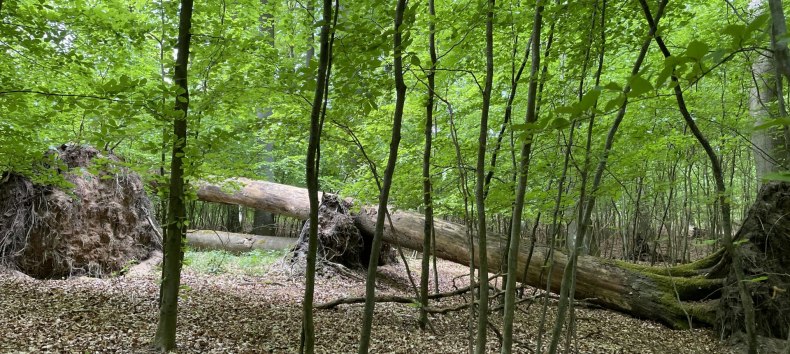 © Britta Daedelow-Seydl © Britta Daedelow-Seydl