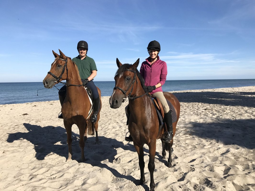 Reitausflug am Strand // © Familie Fiege Reitausflug am Strand // © Familie Fiege