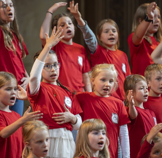 &copy; Geert Maciejewski