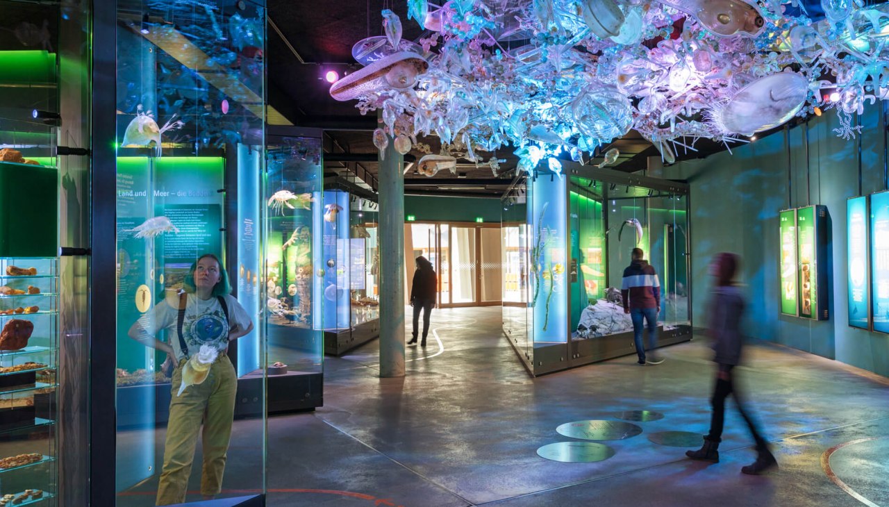 Die Ostsee-Ausstellung mit Planktonwolke im OZEANEUM, © Anke Neumeister/Deutsches Meeresmuseum Die Ostsee-Ausstellung mit Planktonwolke im OZEANEUM, © Anke Neumeister/Deutsches Meeresmuseum