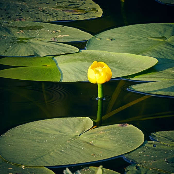 20210907-Granitz4-Foto-Burwitz-Pocha, &copy; Pocha