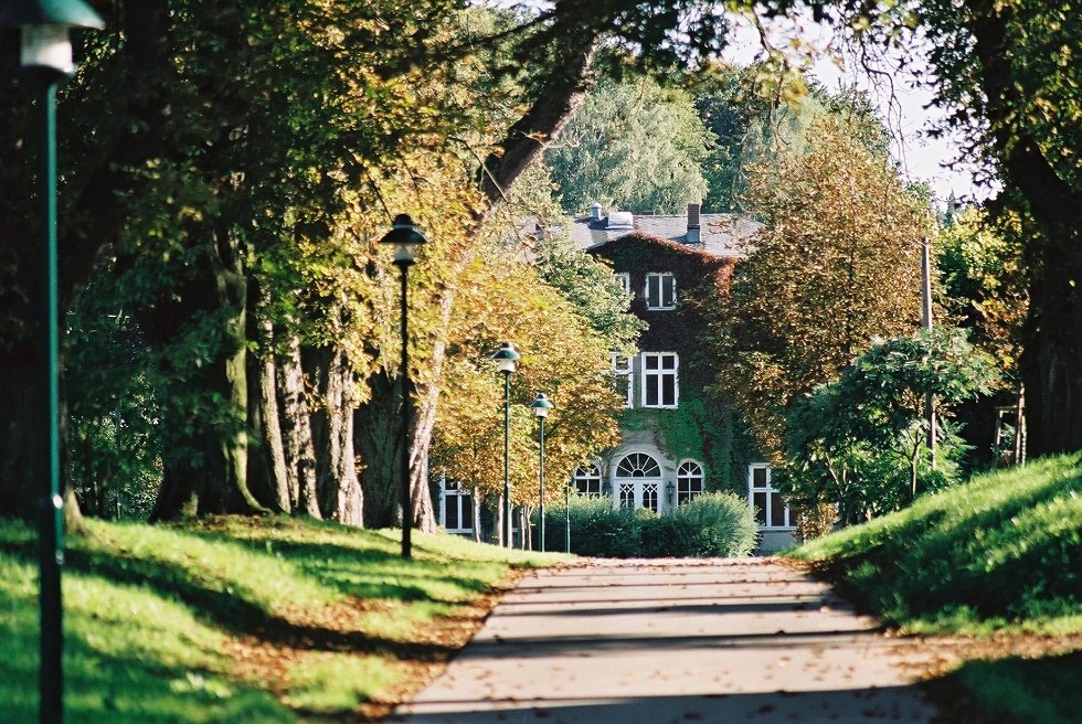 Blick durch die Allee zum Gutshaus Wesselstorf // © Andreas Knoll Blick durch die Allee zum Gutshaus Wesselstorf // © Andreas Knoll
