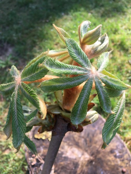 Tu dir gut – Die Natur erleben, © IMG_7734.JPG Tu dir gut – Die Natur erleben, © IMG_7734.JPG