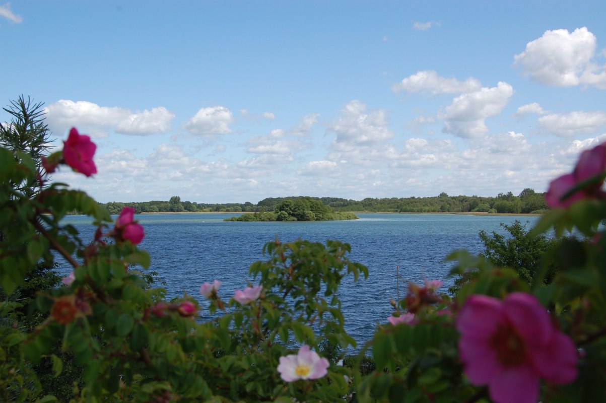 Blick vom Grundstück auf den Schaalsee mit der Insel Möwenburg. // © © Susanne Hoffmeister Blick vom Grundstück auf den Schaalsee mit der Insel Möwenburg. // © © Susanne Hoffmeister