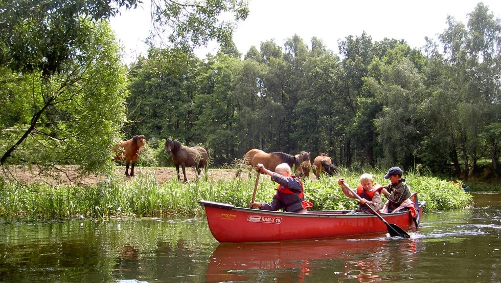 Kanufahren für Kids - Wie zum Beispiel hier auf einer Kanutour entlang der Alten Elde, © Lewitzcamp-Garwitz/Gurtler Kanufahren für Kids - Wie zum Beispiel hier auf einer Kanutour entlang der Alten Elde, © Lewitzcamp-Garwitz/Gurtler