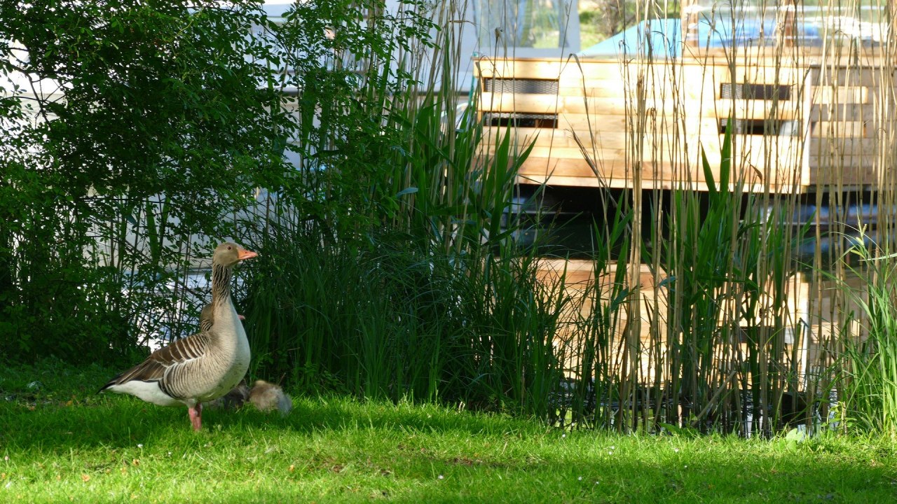 Spannende Tierbeobachtungen am Tollensesee // &copy; Birgit Riemer