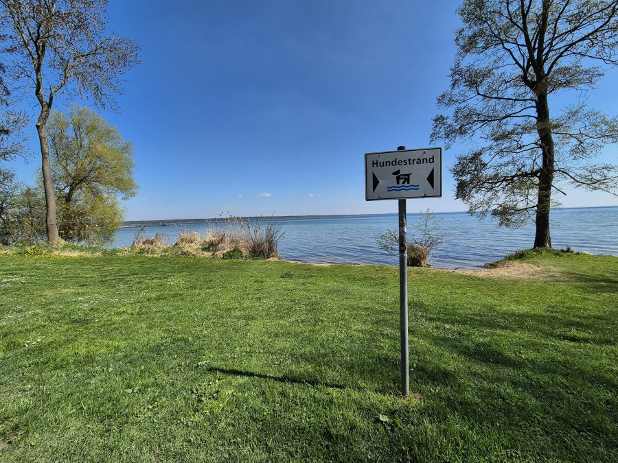 Hundebadestrand Klink, &copy; Gina Schulenberg